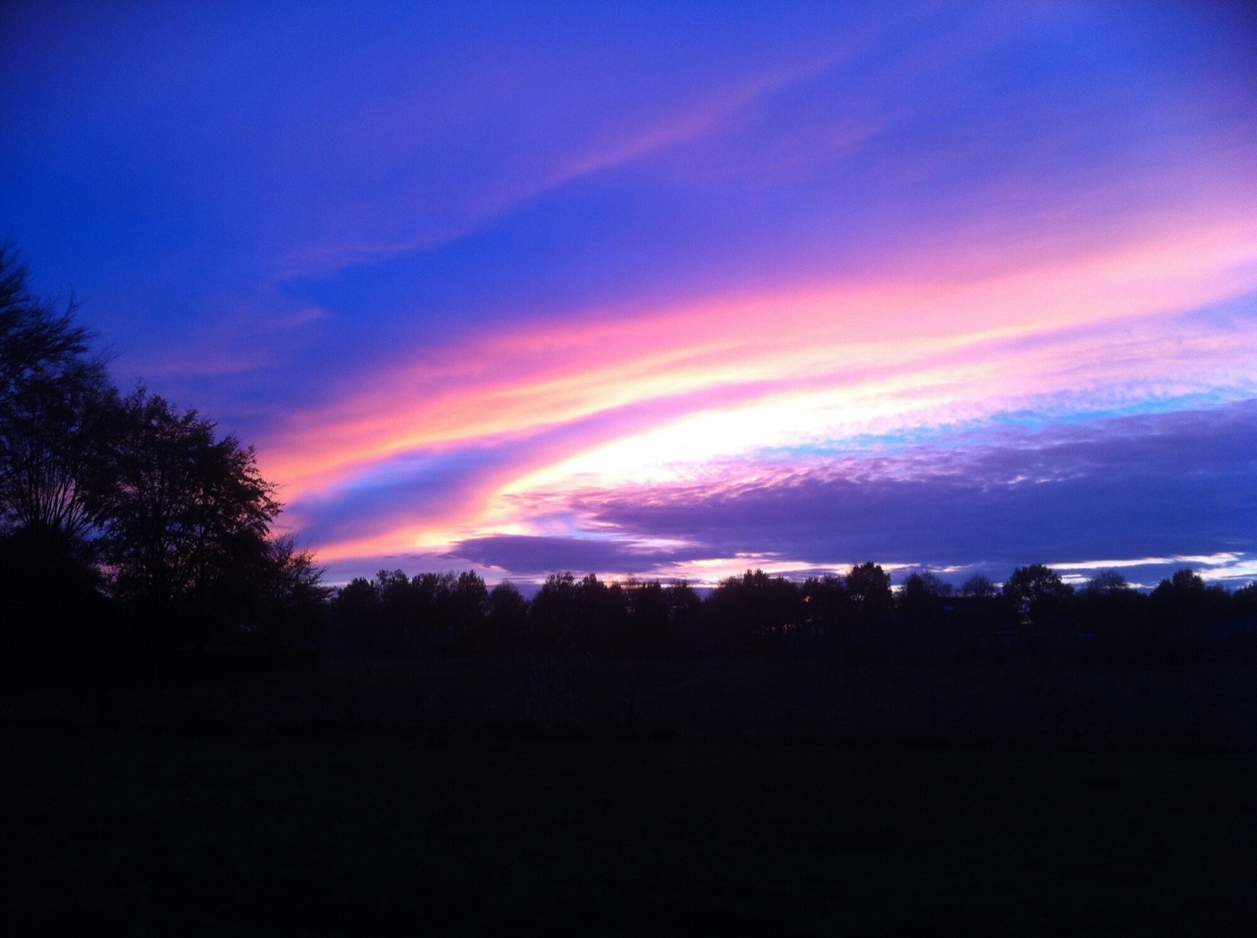 Roze avondlucht boven de bomen rond De Kreitsberg