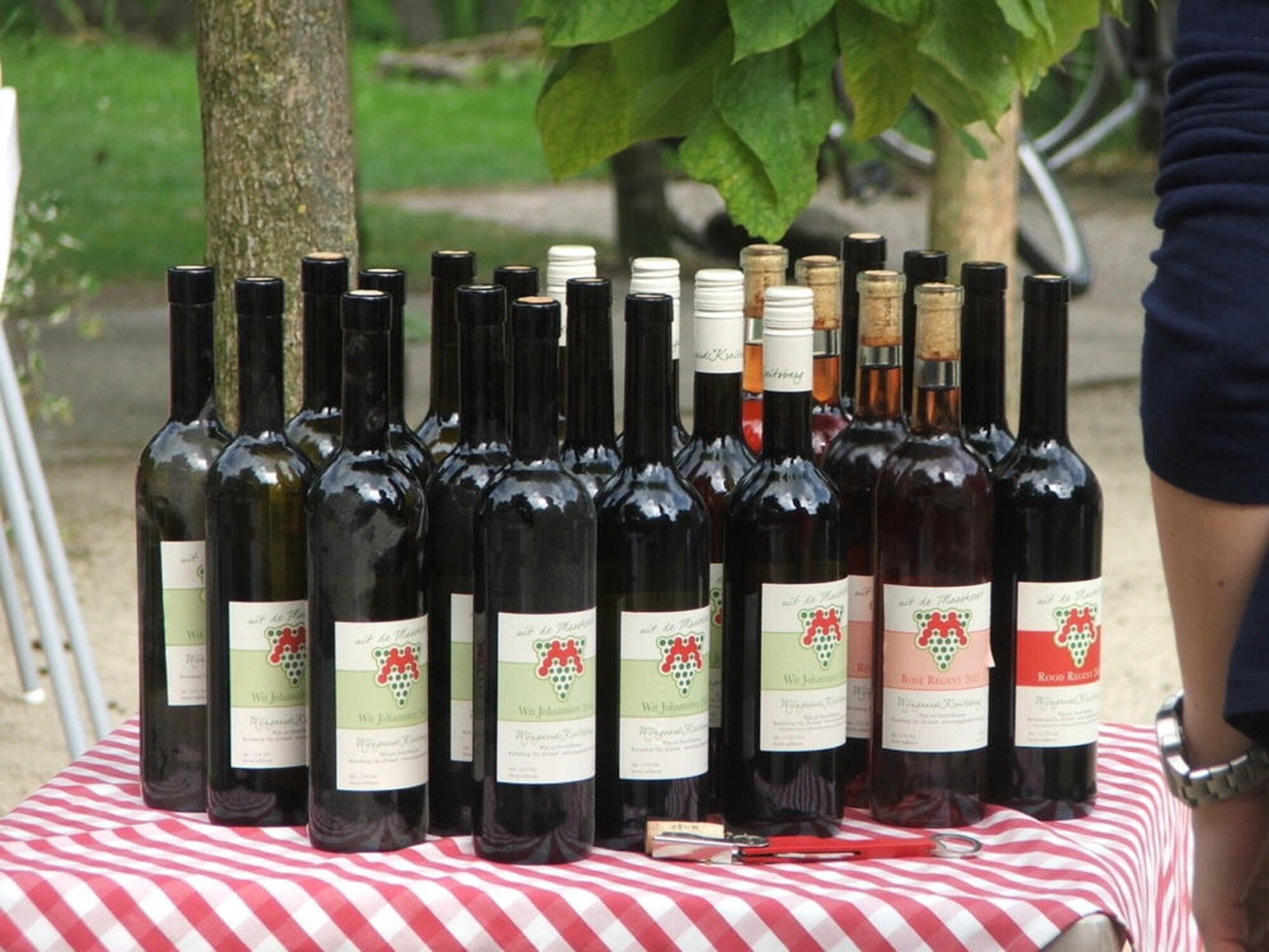 Flessen Maashorstwijn op een tafel met rood-wit kleed