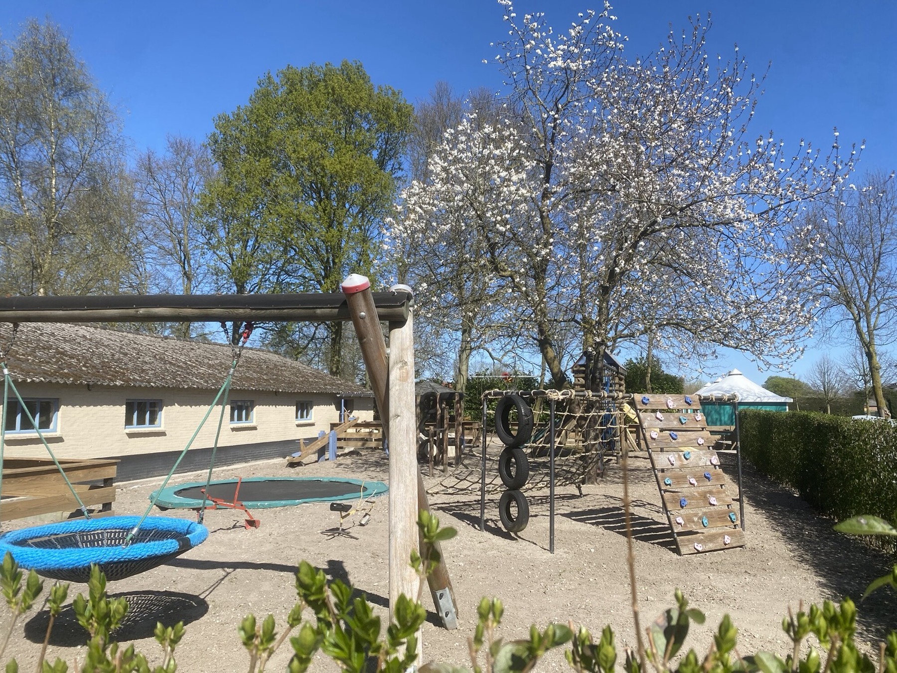 Speeltuin met vogelnestschommel en klimrek