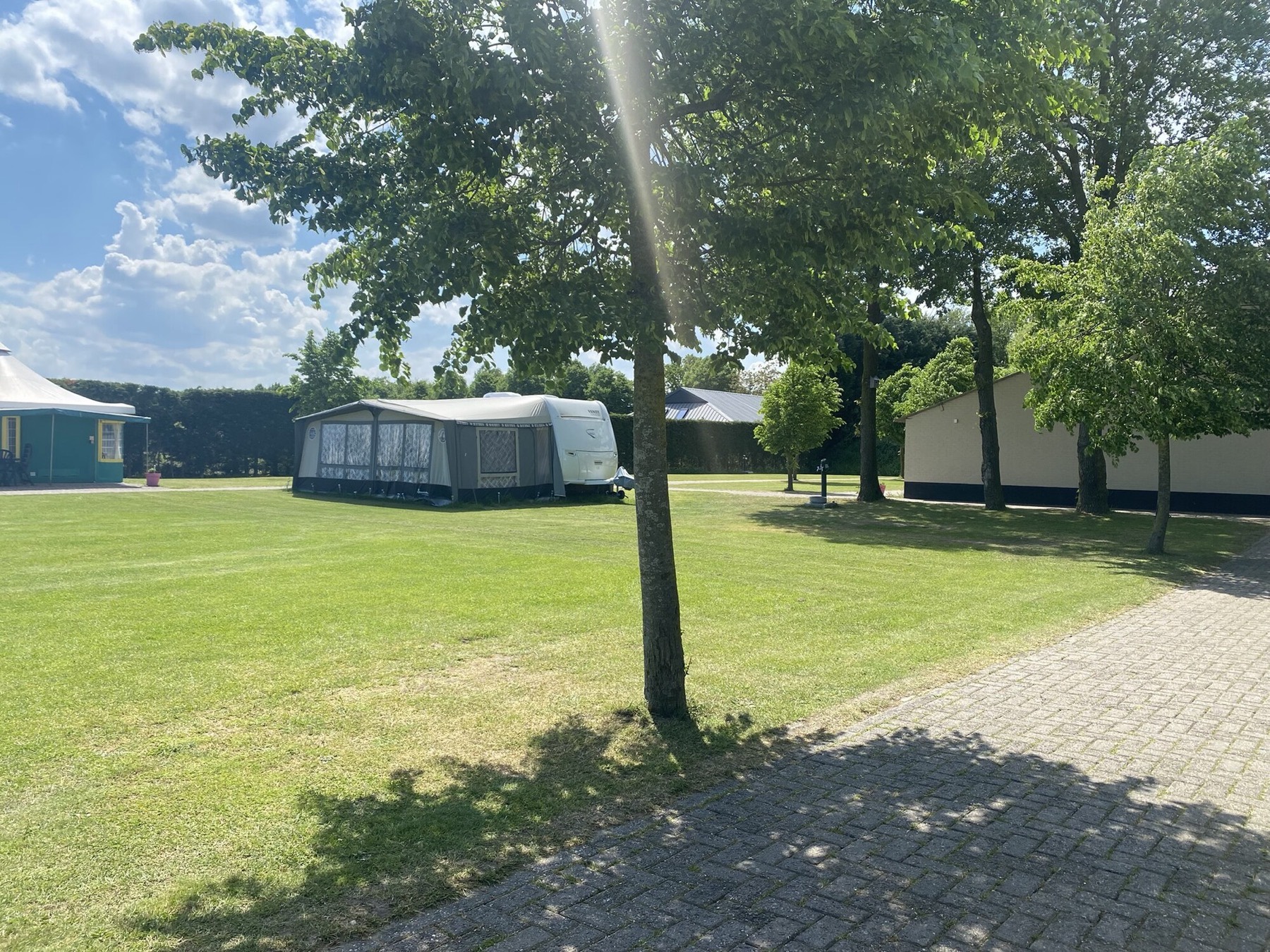 Ruime plaatsen met caravans tussen de jonge bomen